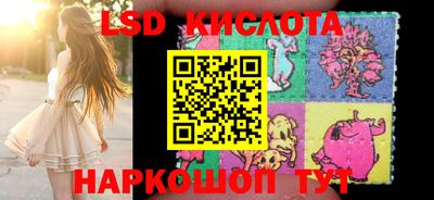 шишки Ставрополь