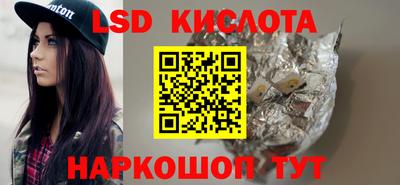 шишки Ставрополь