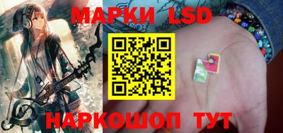 шишки Ставрополь