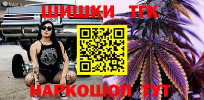 шишки Ставрополь