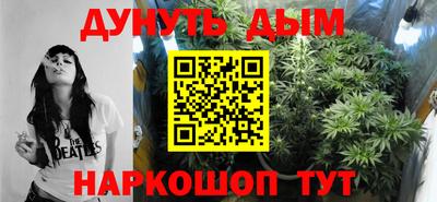 шишки Ставрополь
