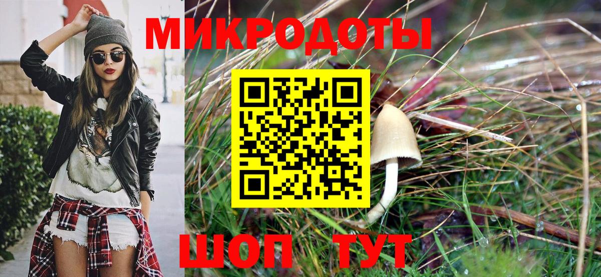 Галлюциногенные грибы мицелий  Вход с VPN  Выкса  Псилоцибиновые грибы мухоморы 